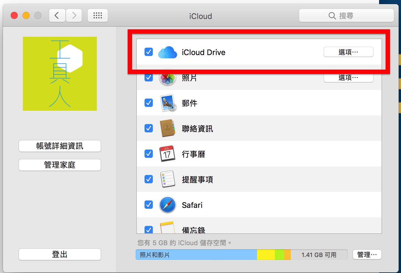 iCloud Drive 設定選項。