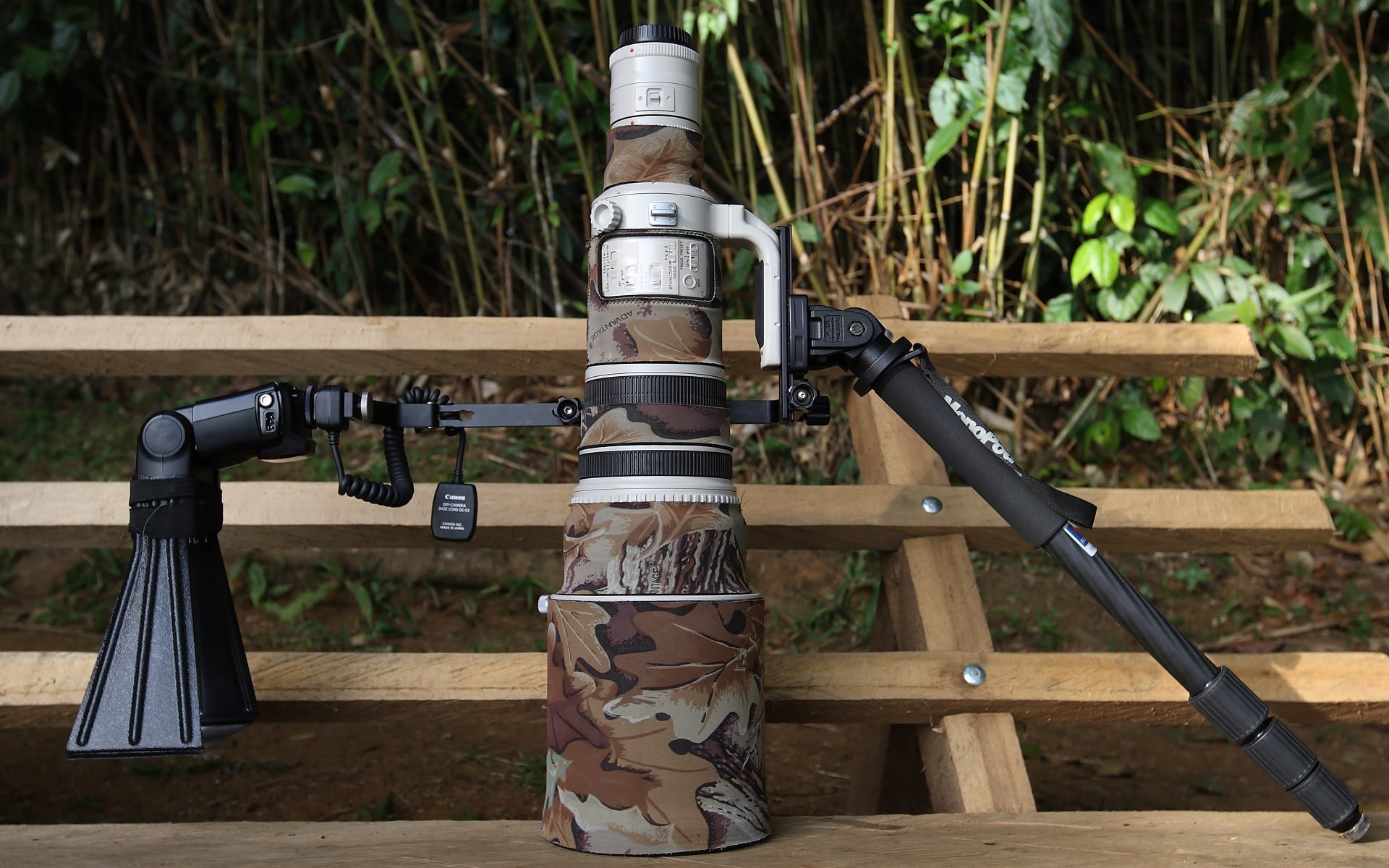 Canon Lens and Monopod