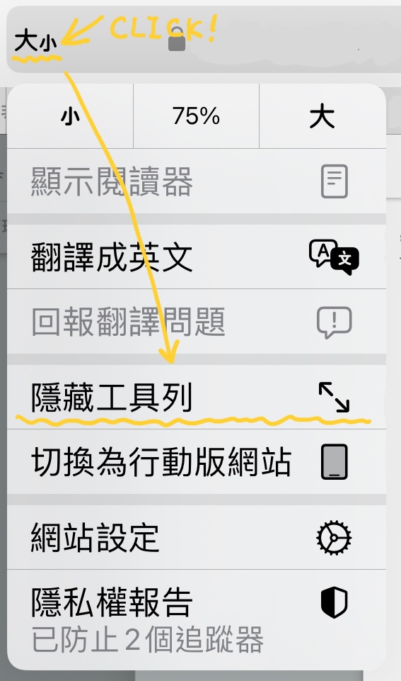 Safari 瀏覽器功能表單