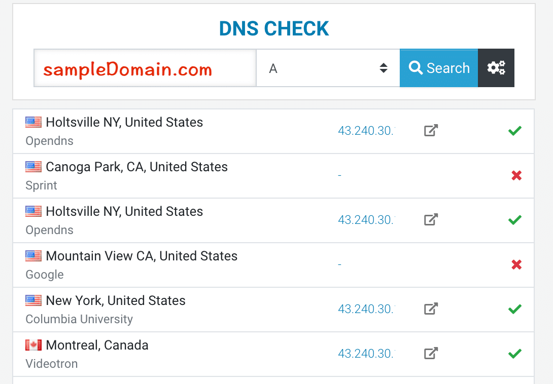 DNS CHECK