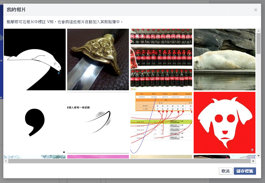 Facebook-Pets-Tag-標註相片