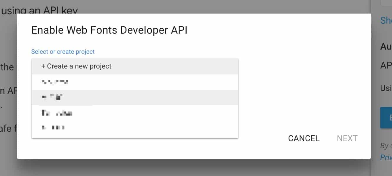Google Enable Web Fonts Developer API