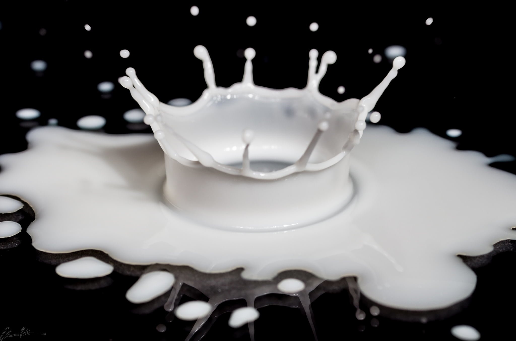 Milk Drop (@Chris Pelliccione)