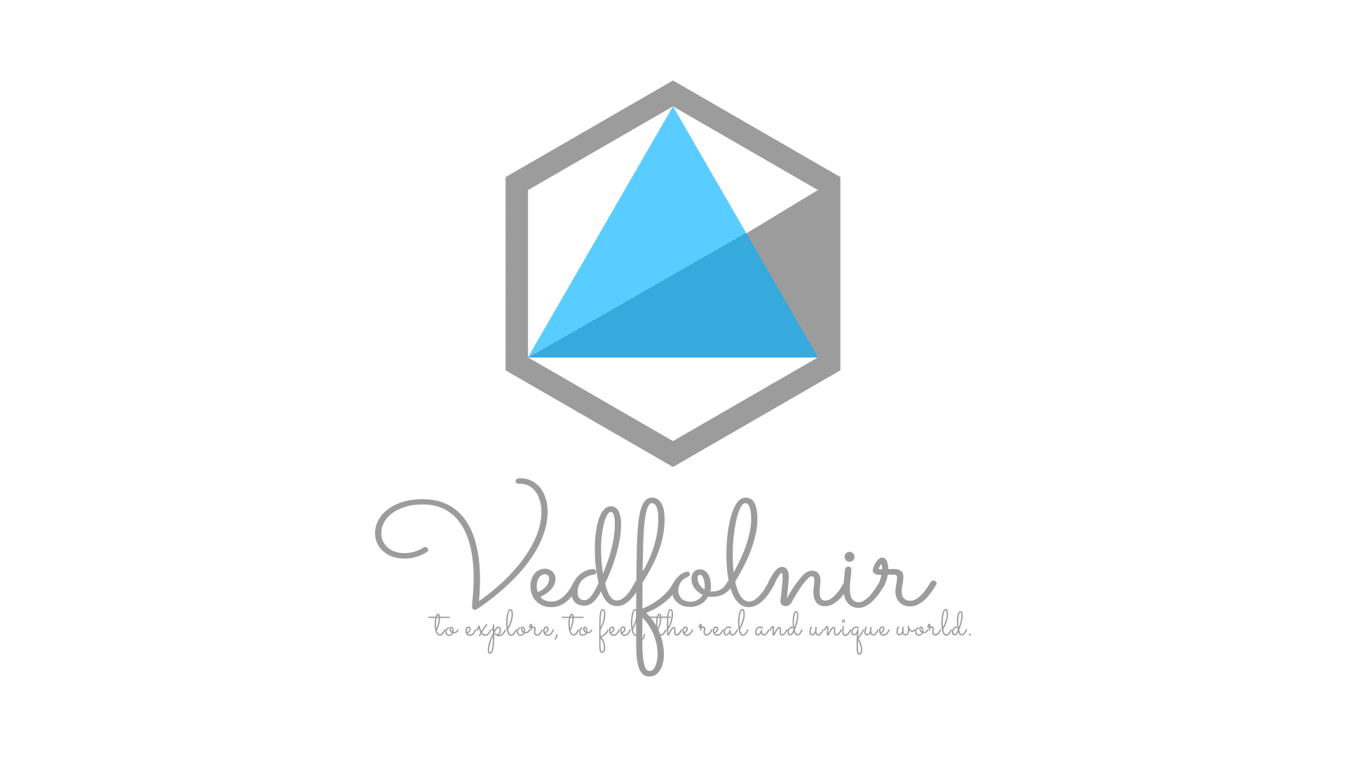 Vedfolnir geometric falcon-eye logo