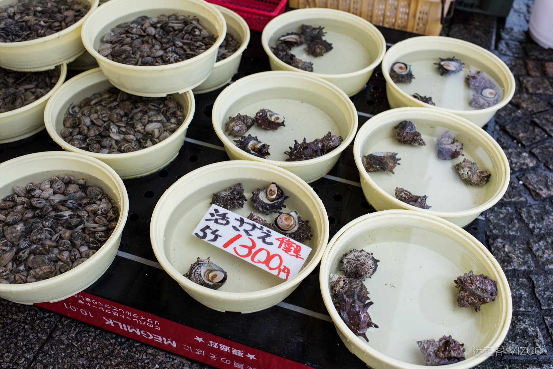 走入那珂湊魚市場內部,攤位上陳列著剛捕撈上岸的滿滿當季海鮮