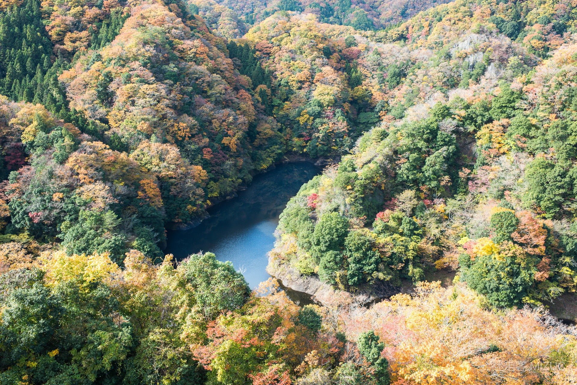 漫步在龍神大吊橋寬敞的人行木棧橋面上，兩側可飽覽無死角的開闊山水