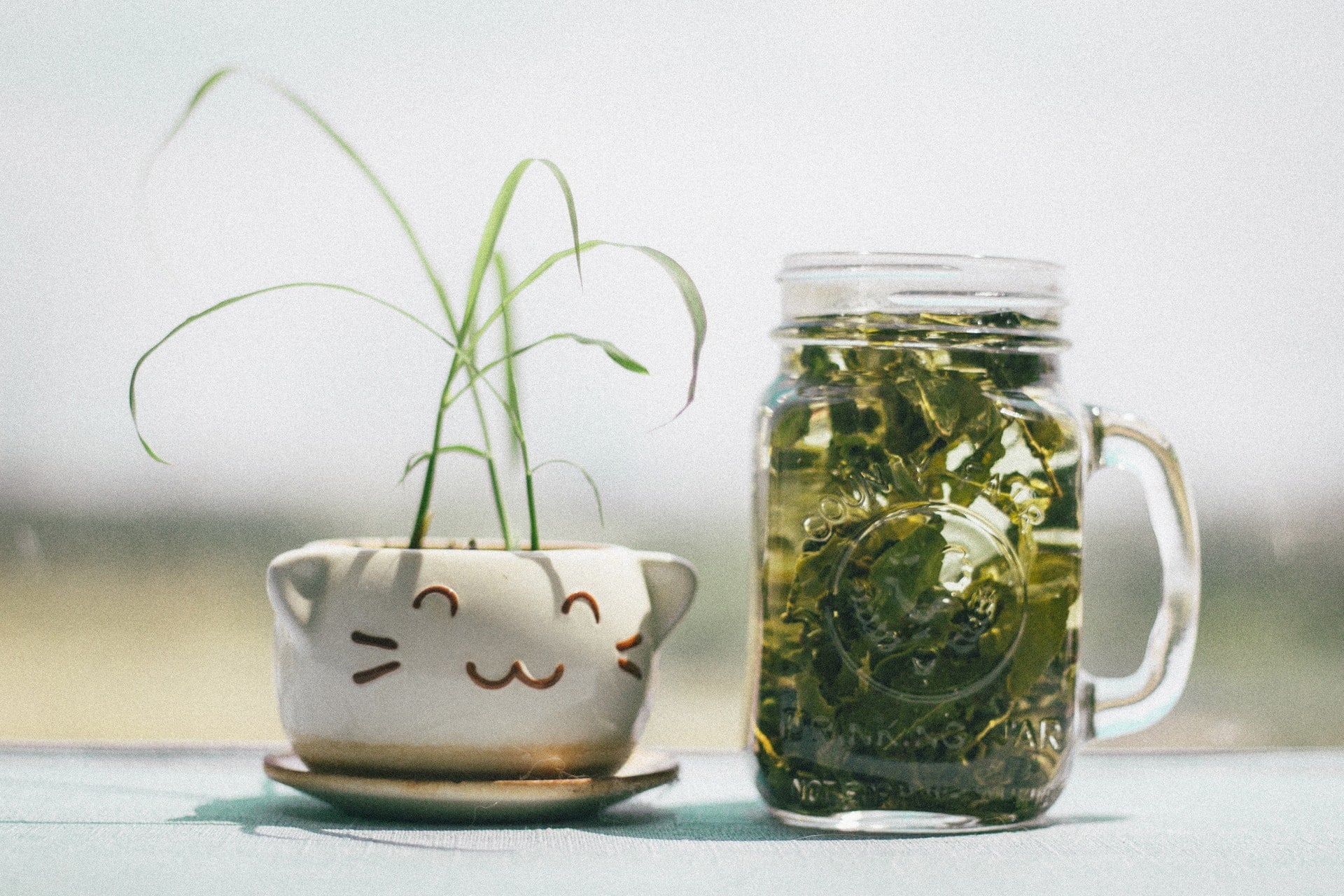 市售包裝茶飲料(冷泡茶)都是化工合成茶的迷思與破解