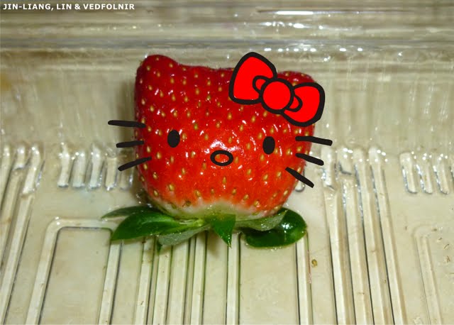 台灣特有種:草莓凱蒂貓 Hello Kitty