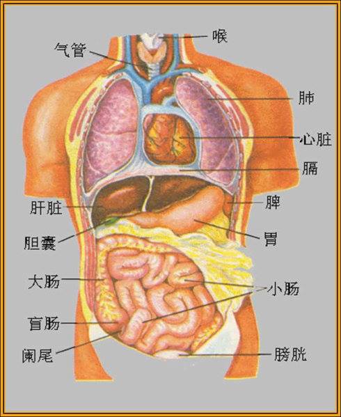 身體發出的警告 一定要仔細體會才能提早發現疾病