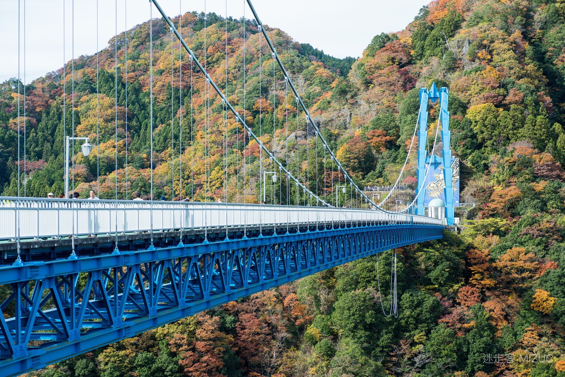 茨城縣「龍神大吊橋」:日本北關東賞楓名所與 100 公尺高空彈跳極限體驗