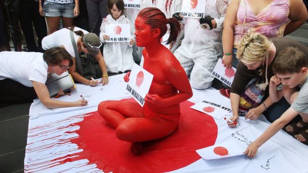 海洋生態：臺灣鯨魚的觀光資源與鯨豚種類介紹 sea whale protest japan red nude women