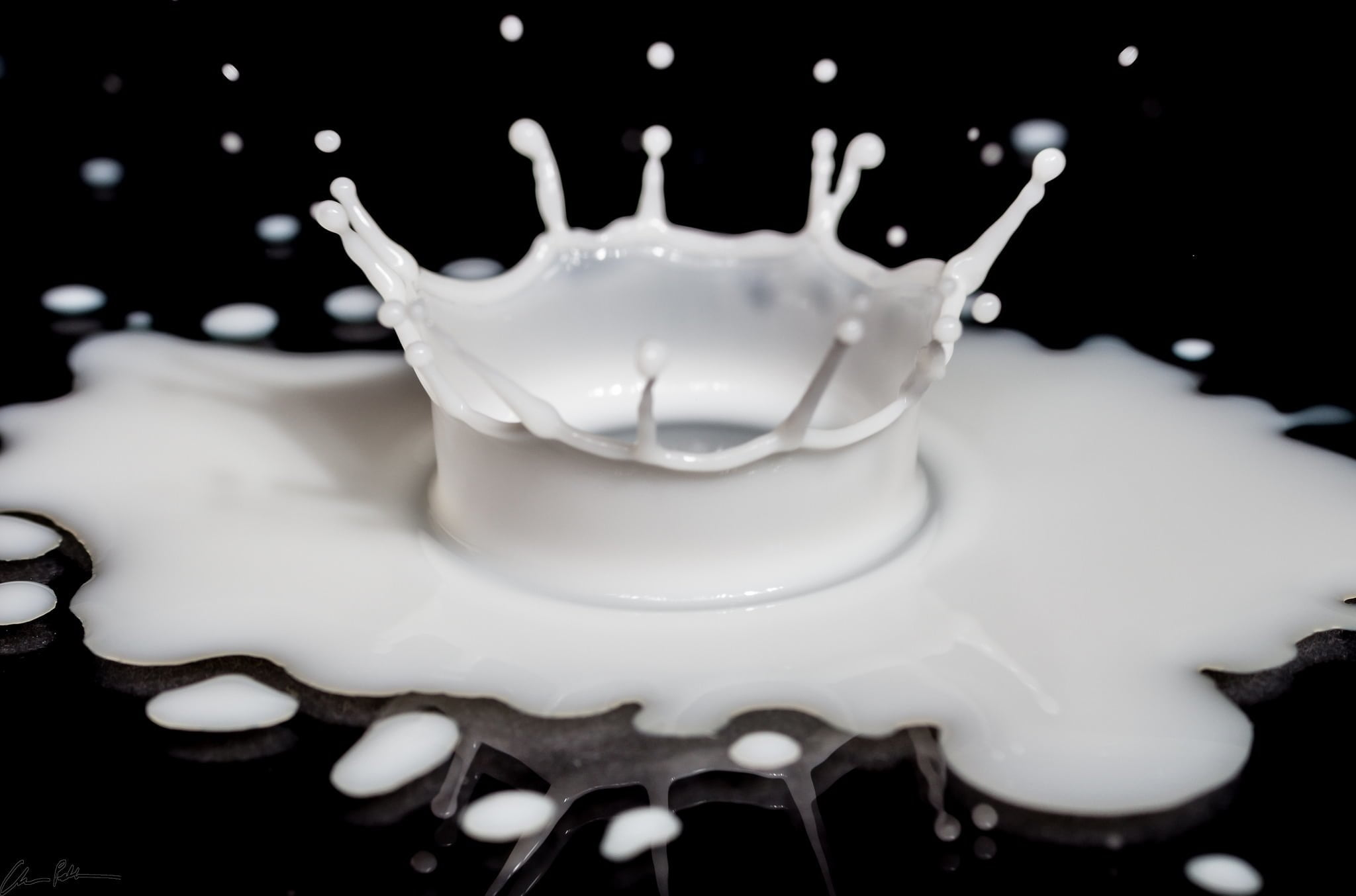 Milk Drop_Chris Pelliccione