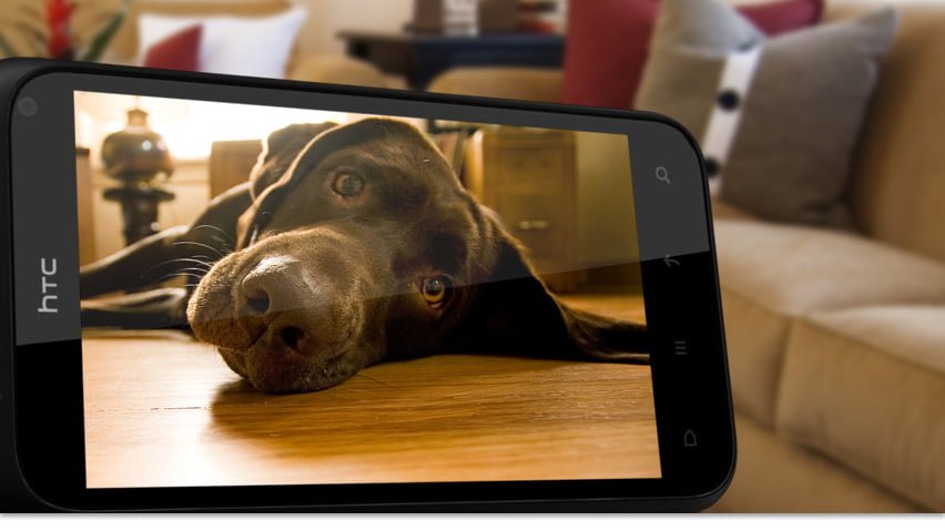 HTC-Smart-Phone-Dog