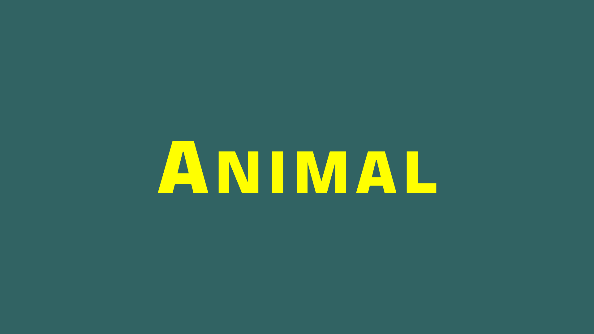 Animal-Words-Logo-Card-Designed-Vedfolnir-1920