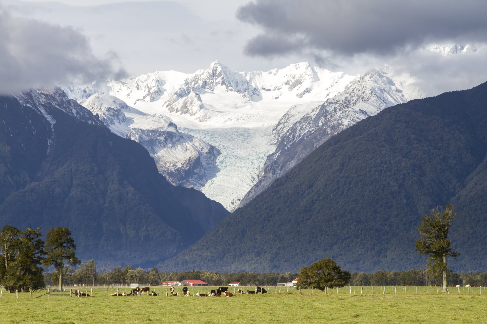 紐西蘭福克斯冰河：直升機墜機導致七名人員全數罹難