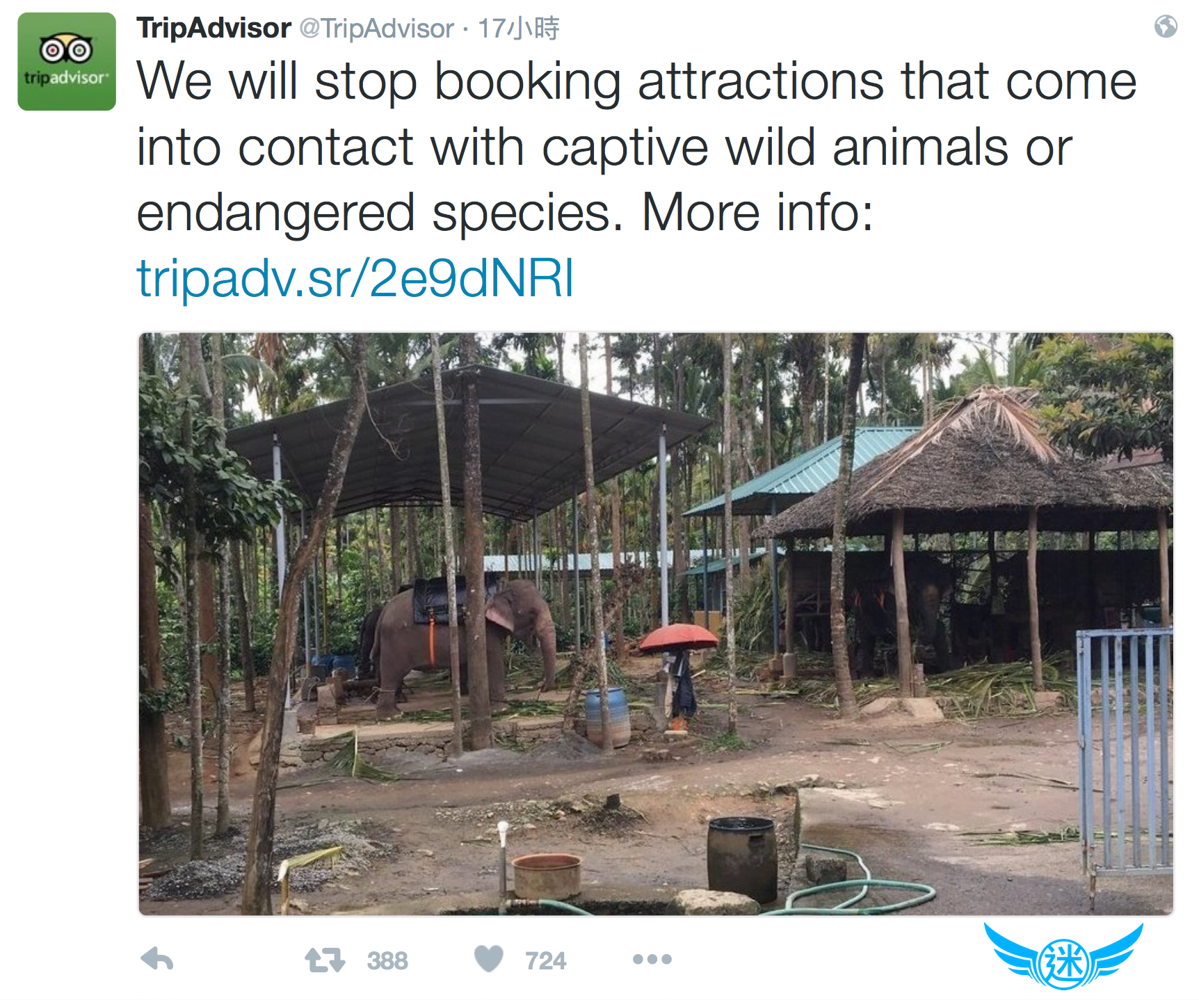 響應 TripAdvisor 停售接觸野生動物與瀕危物種的觀光旅遊、動物秀與動物表演行程 TripAdvisor stop booking attractions animals