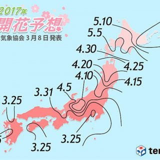 日本 2017 櫻花季春遊趣 3月最新櫻花線開花、滿開日預測 japan sakura expectation march 2017