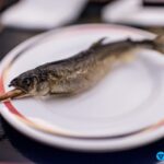 日本櫪木縣/日光市鬼怒川溫泉/鬼怒川三日月飯店/旅館推薦與住宿旅遊心得分享 65 travel japan tochigi nikko kinugawa hotel mikazuki hot springs 13