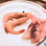 日本櫪木縣/日光市鬼怒川溫泉/鬼怒川三日月飯店/旅館推薦與住宿旅遊心得分享 71 travel japan tochigi nikko kinugawa hotel mikazuki hot springs 21