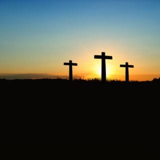 電影台詞《里斯本夜車》：耶穌的十字架因為是十字架 christianity Jesus Tree cross sky ground scene sunset