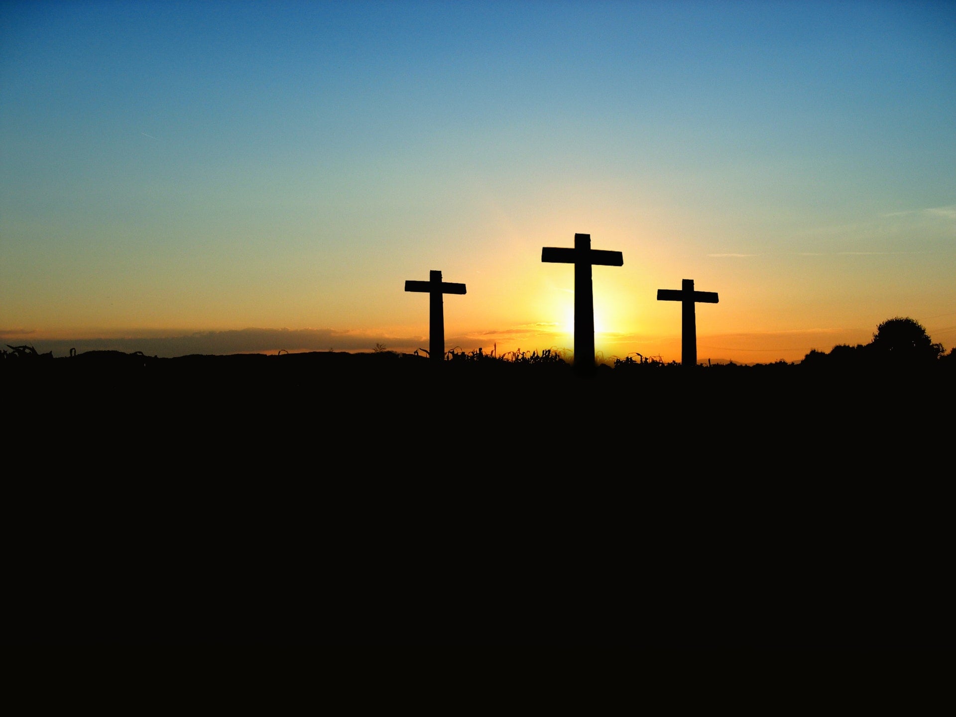 電影台詞《里斯本夜車》：耶穌的十字架因為是十字架 christianity Jesus Tree cross sky ground scene sunset