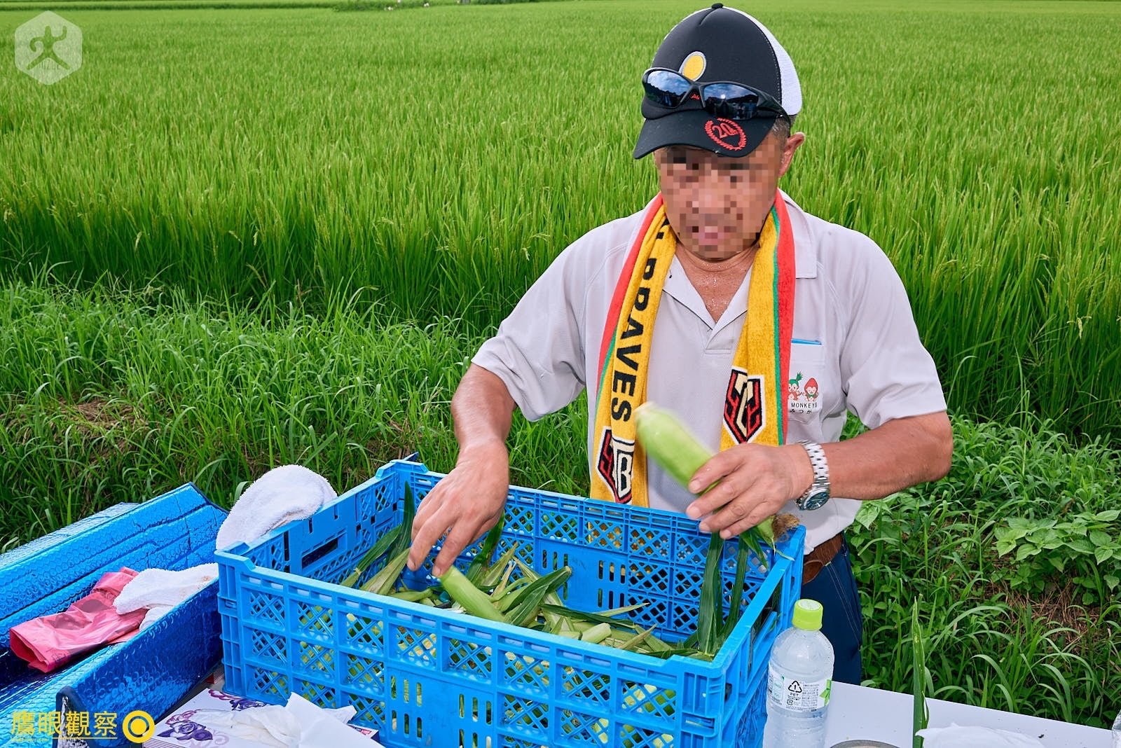鹿沼當地農夫幫忙整理採摘下來的玉米