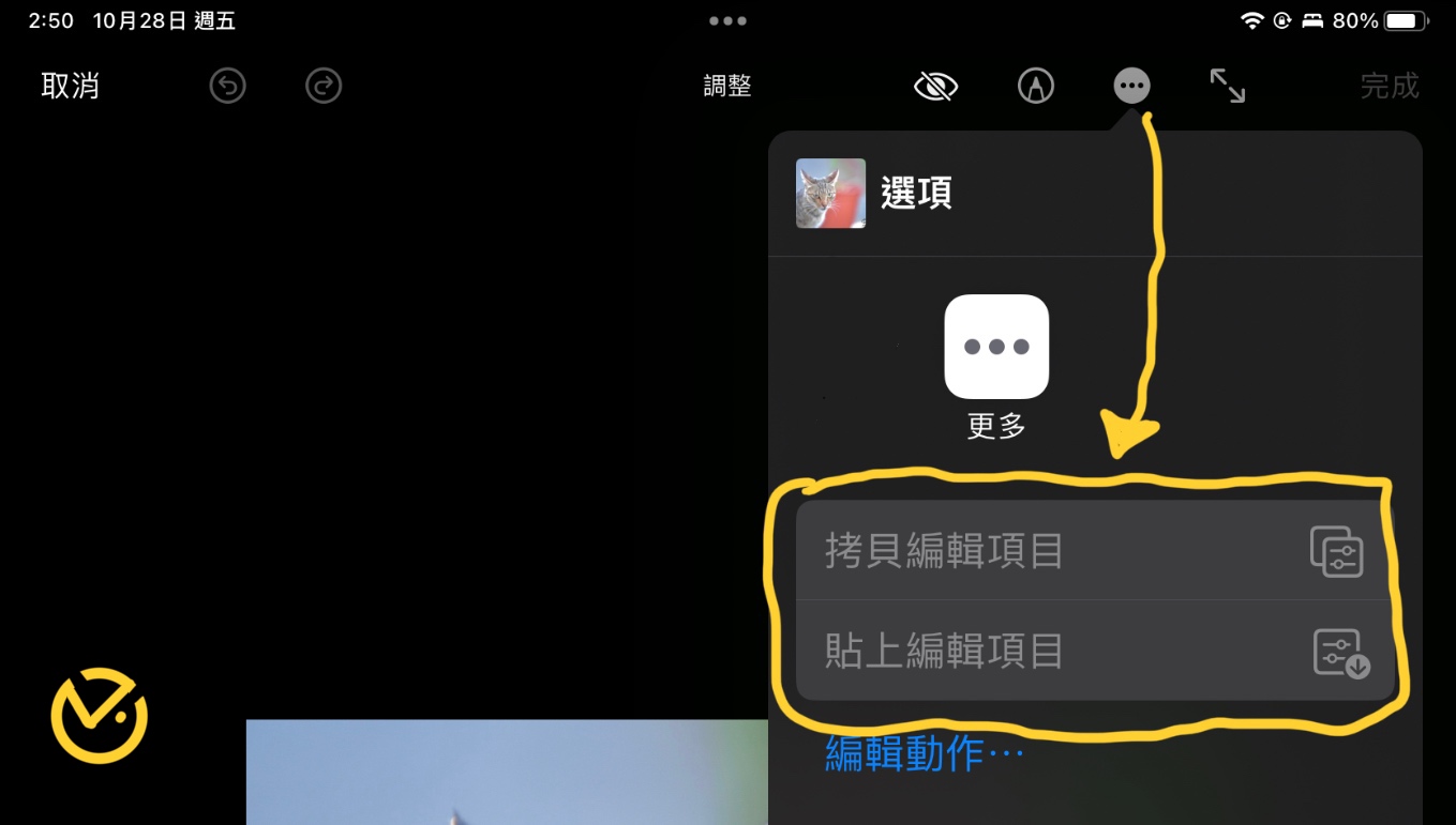 蘋果 Apple iPadOS 16.1 版最新功能概況 2 照片編輯拷貝、貼上參數