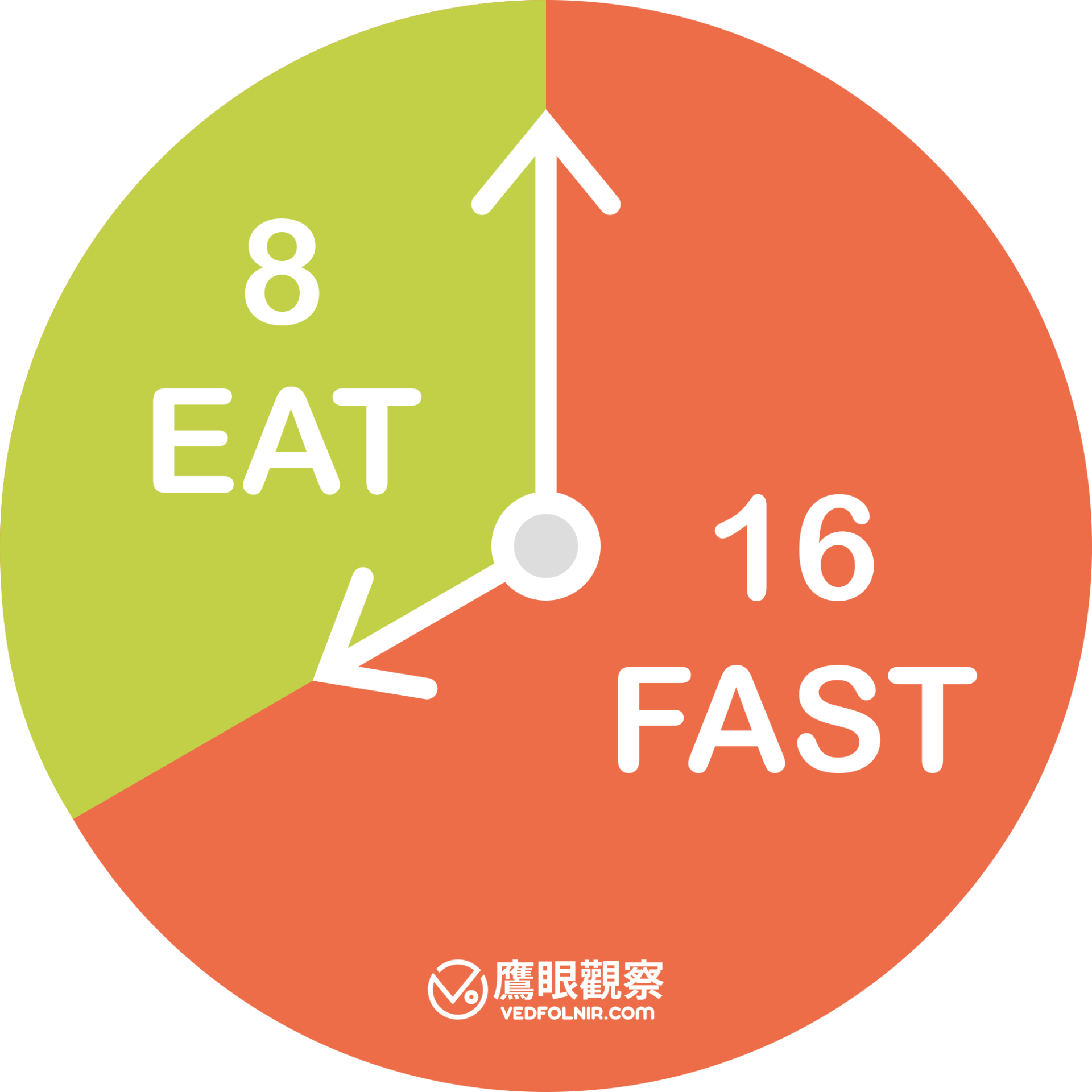 間歇性斷食的時間表