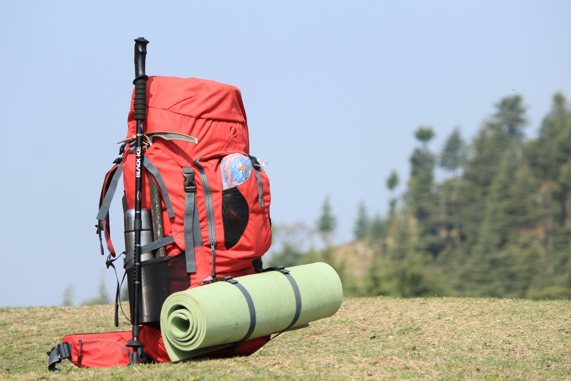 selective focus photo of red hiking backpack on green grass