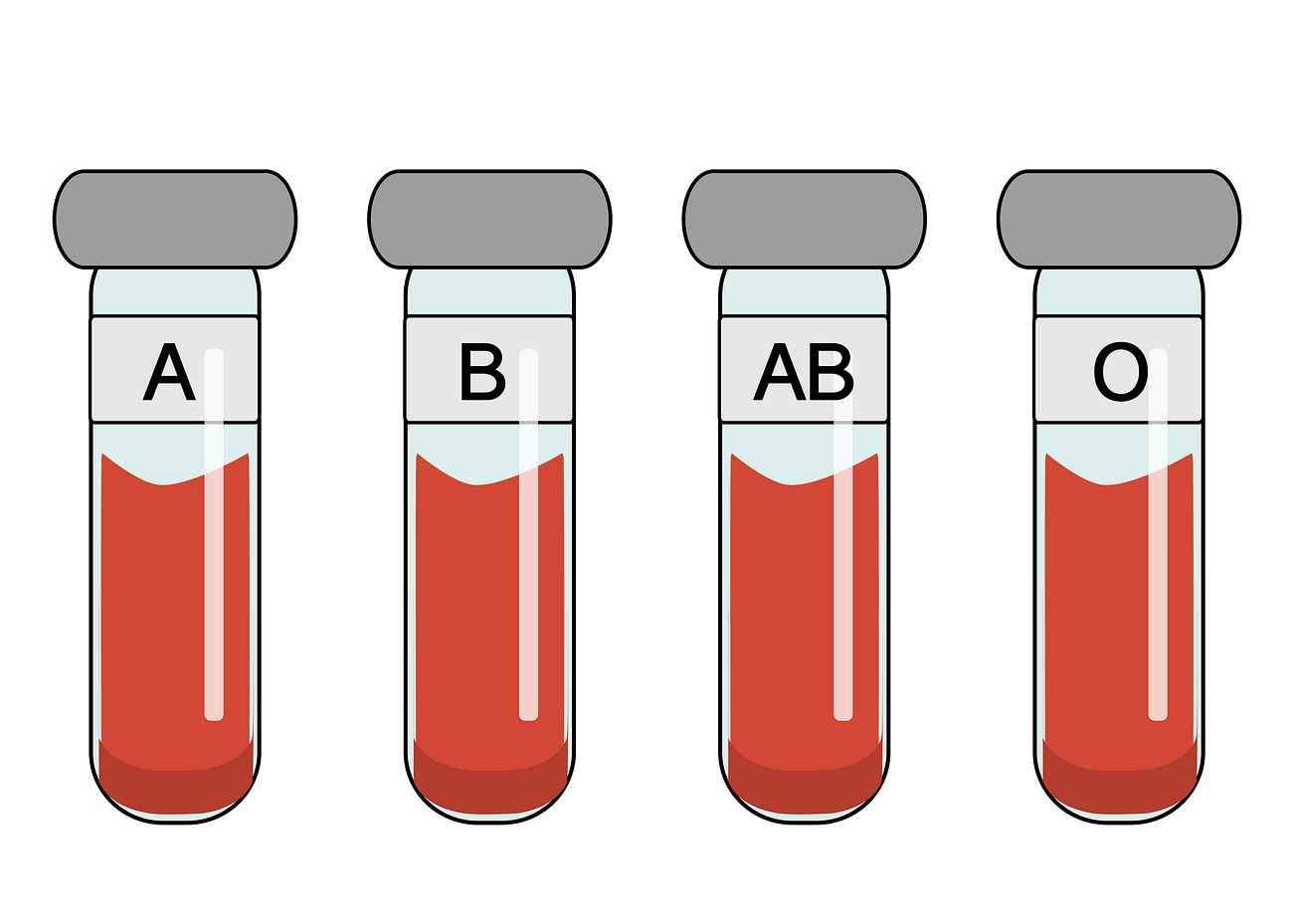 Blood group 血型 A B AB O