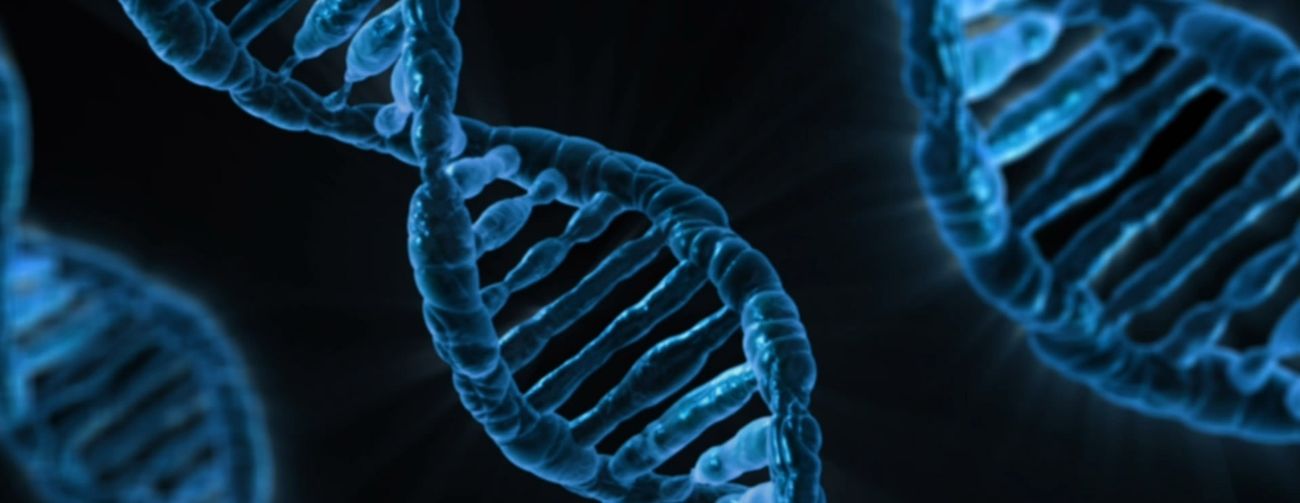 13年研究首次證明:表觀遺傳訊息的丟失導致生物衰老 有可能逆轉老化跡象