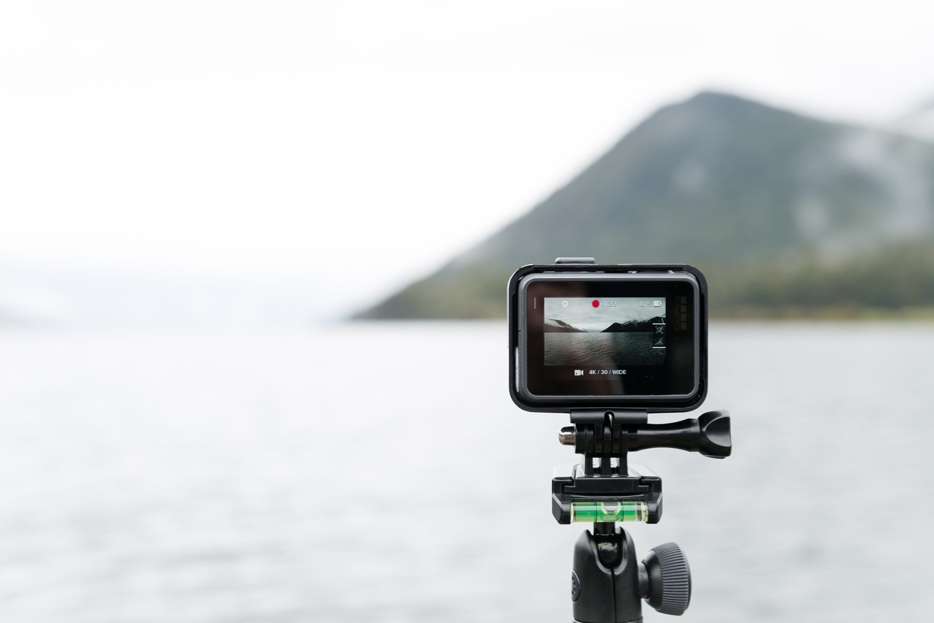 曼富圖 Manfrotto 齒輪雲台的缺點與微距實戰評測:以 XPRO-3WG 為例的極限選購指南