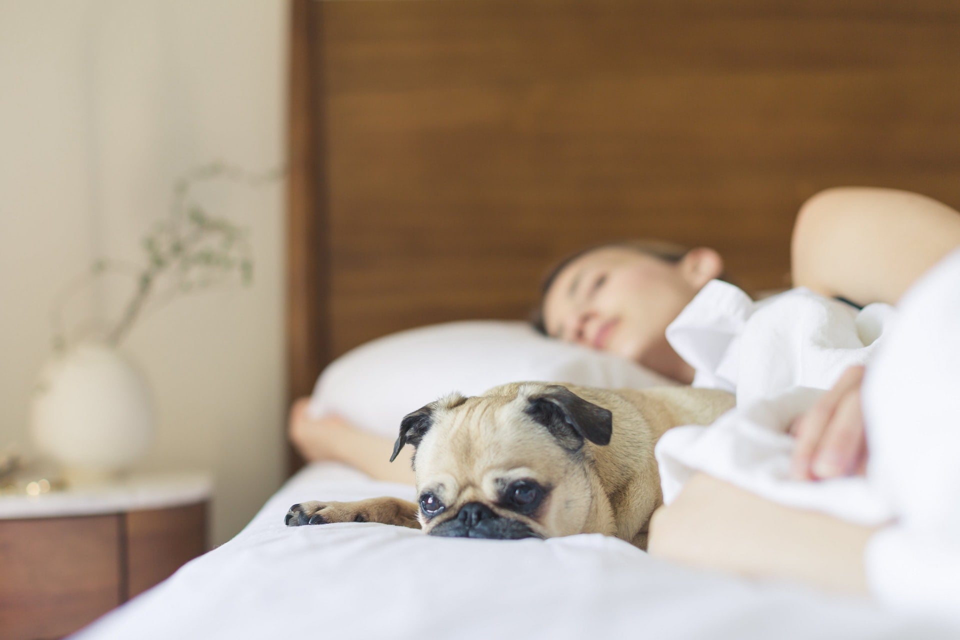 增加睡眠品質讓人一夜好眠地容易入睡的 3 個小技巧