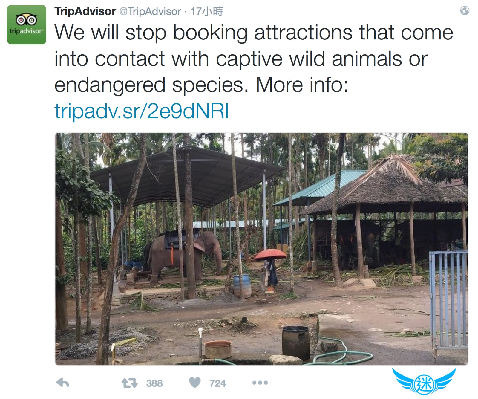 响应 TripAdvisor 停售接触野生动物与濒危物种的观光旅游、动物秀与动物表演行程