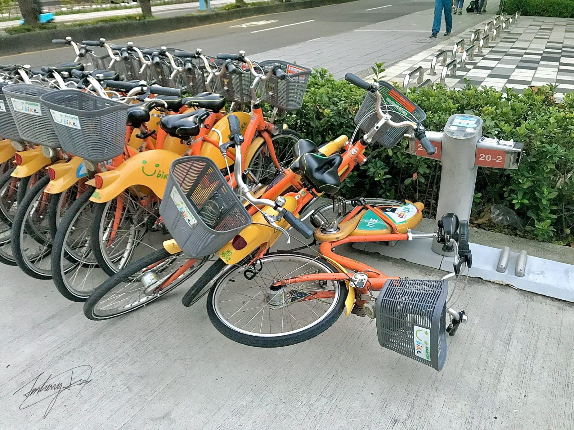 【緊急通知】YouBike系統遭駭客攻擊!檢查您的卡號和個人資料安全